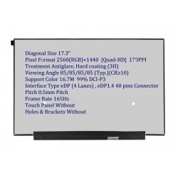 Display Laptop, NE173QHM-NY2, NE173QHM-NY3, NE173QHM-NY4, NE173QHM-NY5, QHD 2560x1440, 17.3 inch, QHD 2560x1440, 165Hz, 40 pini