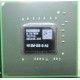 Chipset N13M-GS-S-A2 Chipset
