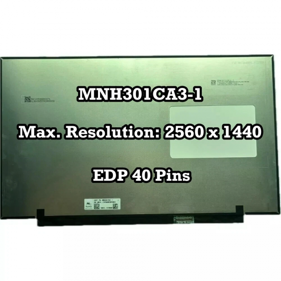 Display Laptop, Schenker, Media 17-E23 NP70SNx, 18010-17370000, MNH301CA3-1, 17.3 inch, QHD 2560x1440, 165Hz, 40 pini
