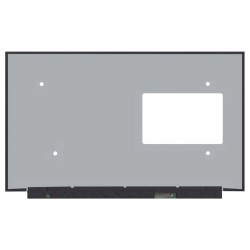 Display Laptop Gaming, Asus, 18010-15609000, 18010-15607400, 18010-15656300, Dalle128, 15.6 inch, rezolutie 2.5K, 2560x1440, QHD, IPS, 165Hz, 40 pini