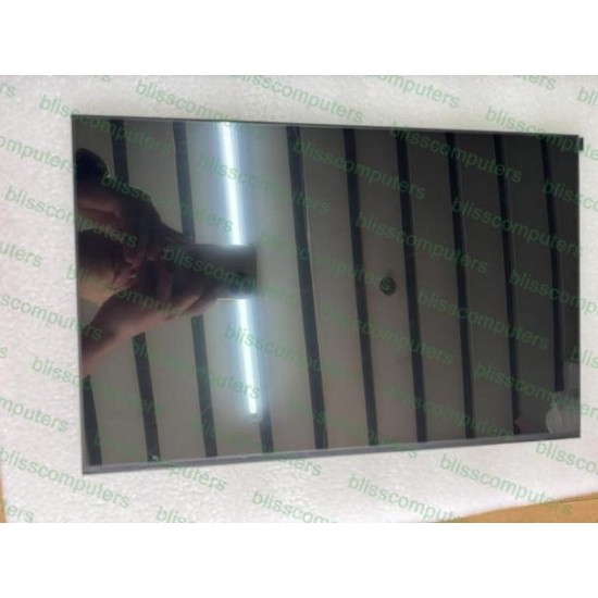 Display Laptop Gaming, Asus, TUF A18 FA808P, FA808PM, FA808PP, FA808PR, 18010-18000800, NE180WUM-NY3 V8.0, 18.0 inch, rezolutie FHD+, 1920x1200, non touch, 144Hz, 40 pini
