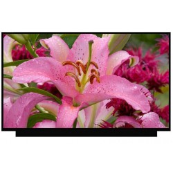 Display Laptop, LG Gram 15Z970, 15.6 inch, LED, FHD, conector ingust 20mm, 165Hz, 40 pin