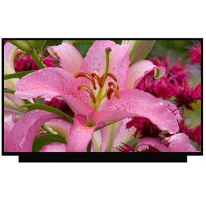 Display Laptop, MSI, Crosshair 15 B12UEZ, 15.6 inch, LED, FHD, 360Hz, narrow connector 20mm, 40 pini