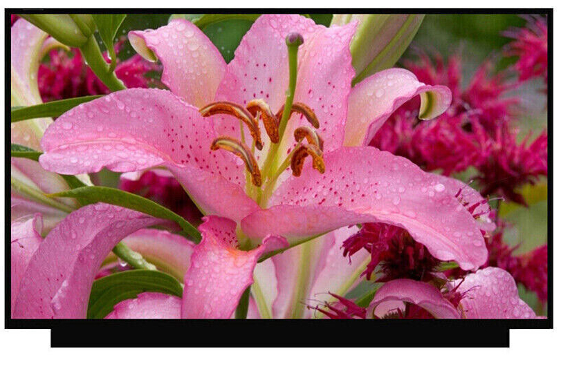 Display Laptop, Dell, G15 5511, 15.6 inch, LED, FHD, 360Hz, narrow connector 20mm, 40 pini